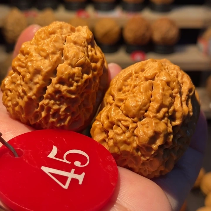 木质类老树舍利王44尺寸