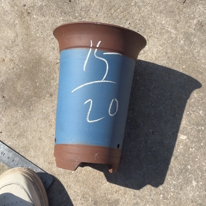 花盆紫砂紫砂的颜色