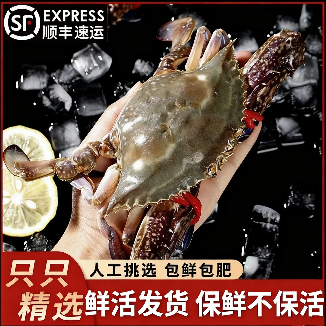 东【正宗】东港精品中二母三角蟹2-3两左右/只一斤规格【保鲜不保活】