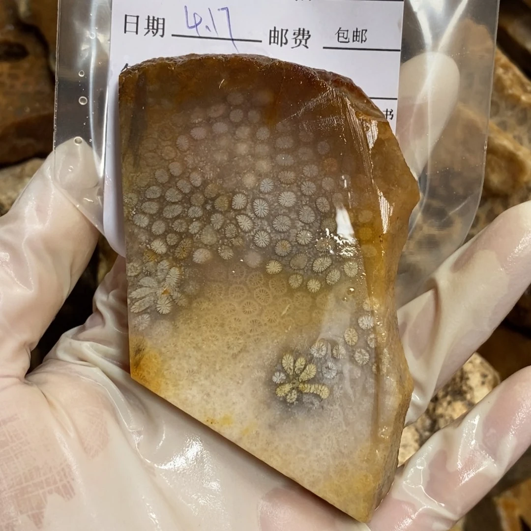 【闪购商品】硅化玉颈饰未镶嵌s***1
