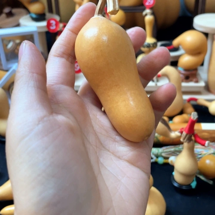 左**.葫芦丝和我说话真的超级喜欢