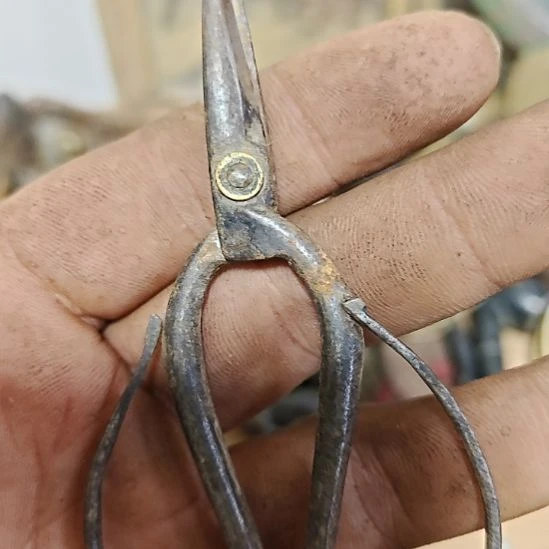 用***4因为1111111111111111111