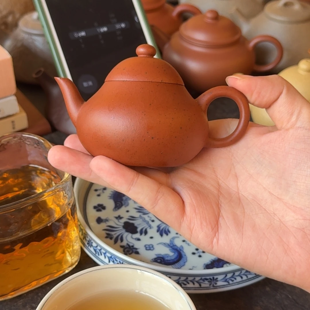 茶壶紫砂dfjkhfccv