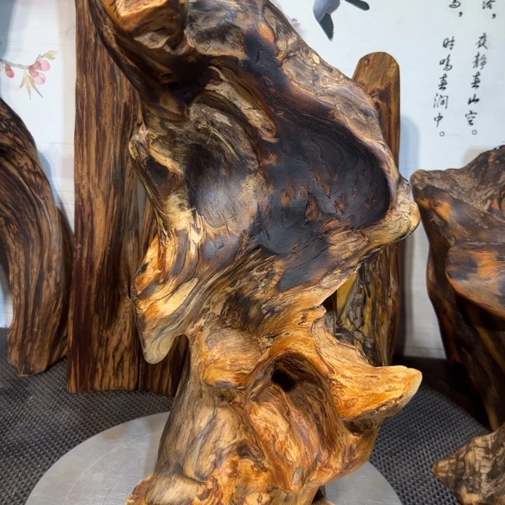 一***然木直播间一组自拍