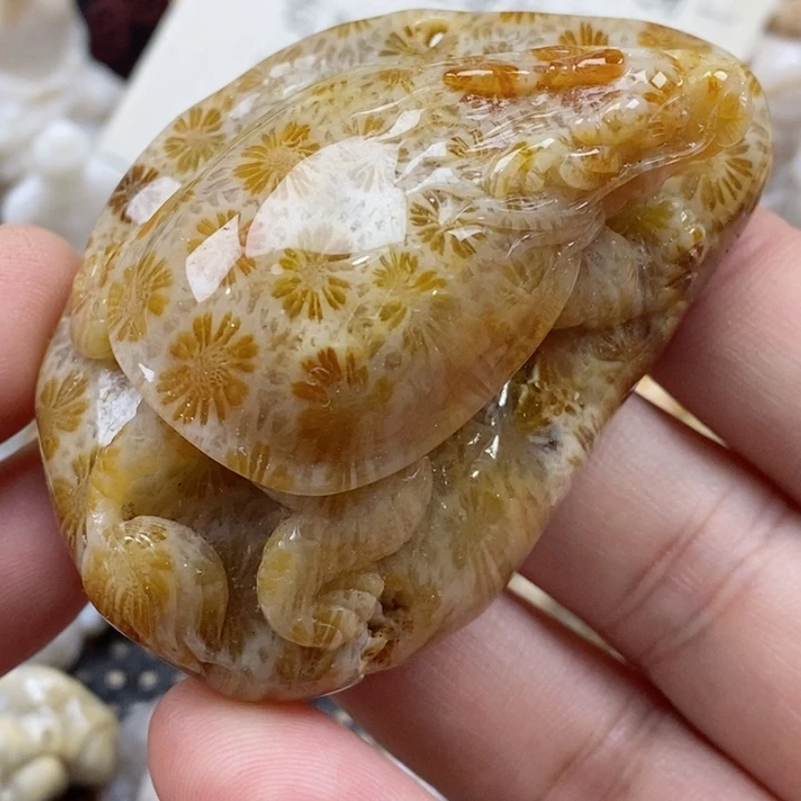 颈饰未镶嵌硅化珊瑚（珊瑚玉）