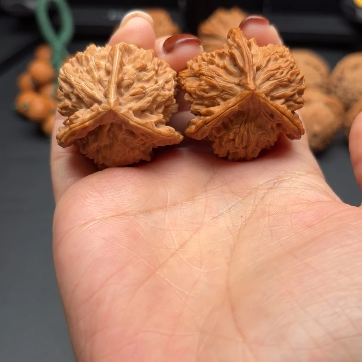 核桃盘山三棱全品38尺