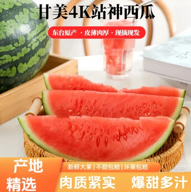 【4k西瓜】江苏盐城甘美4K爆甜薄皮无籽肉厚当季时令新鲜水果