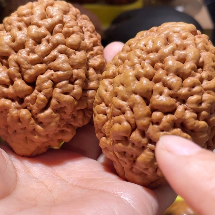 桃核把件疙瘩龙金刚菩提子
