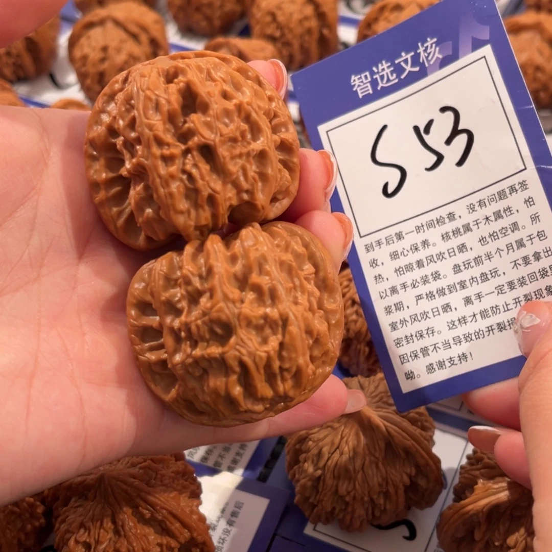 核桃S53号白狮子44尺