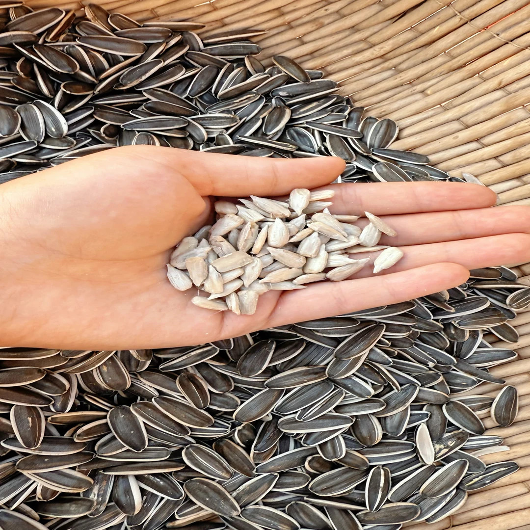 生瓜子内蒙古25年新货大颗粒生瓜子