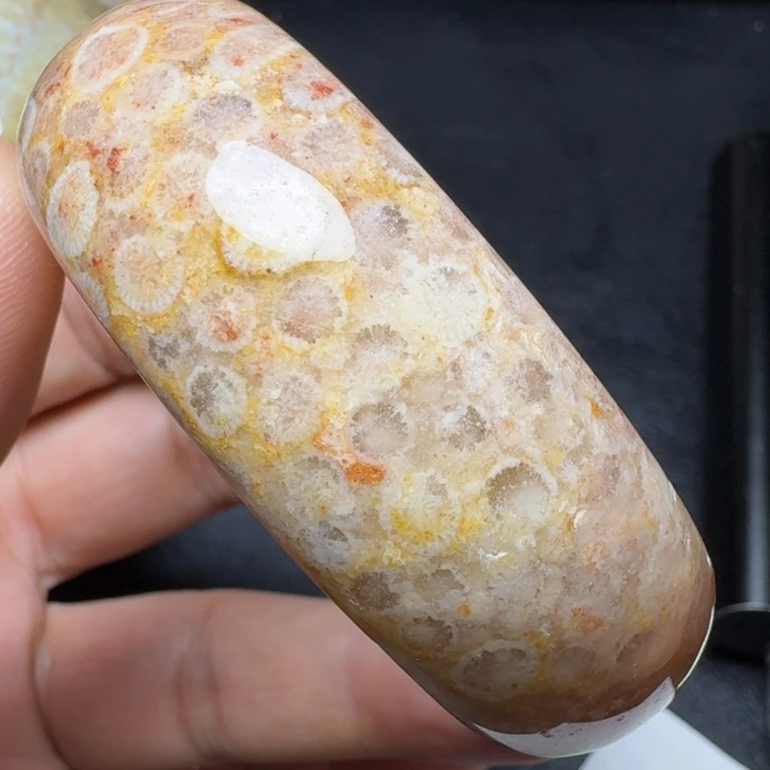 硅化珊瑚（珊瑚玉）52.5圈口未镶嵌