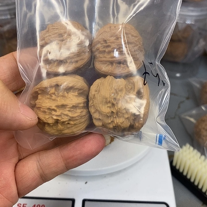 文玩核桃把件大*腩白狮子