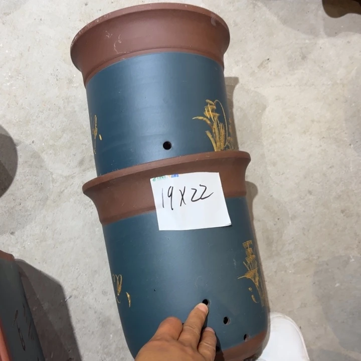 花盆紫砂紫砂的花