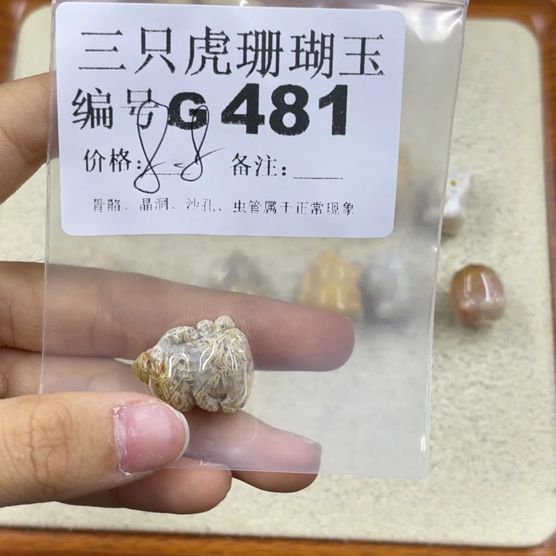 八***猫硅化珊瑚（珊瑚玉）未镶嵌h
