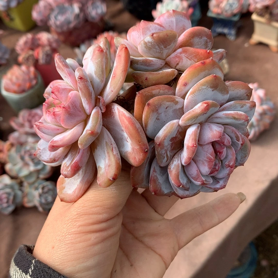 哈哈哈哈哈哈哈哈哈哈