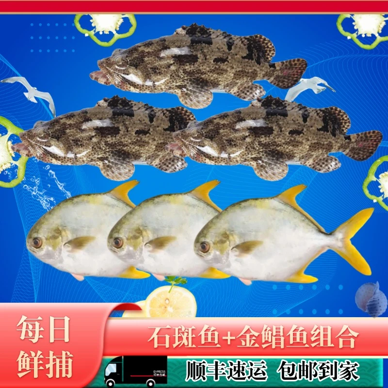 珍珠龙胆石斑鱼老虎斑*3+金鲳鱼*3海鲜深海鱼生鲜水产海鲜共4.5斤