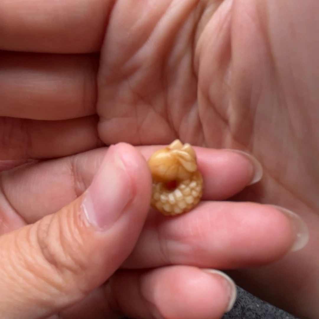 手串/手链鹿骨人工养殖驼骨11