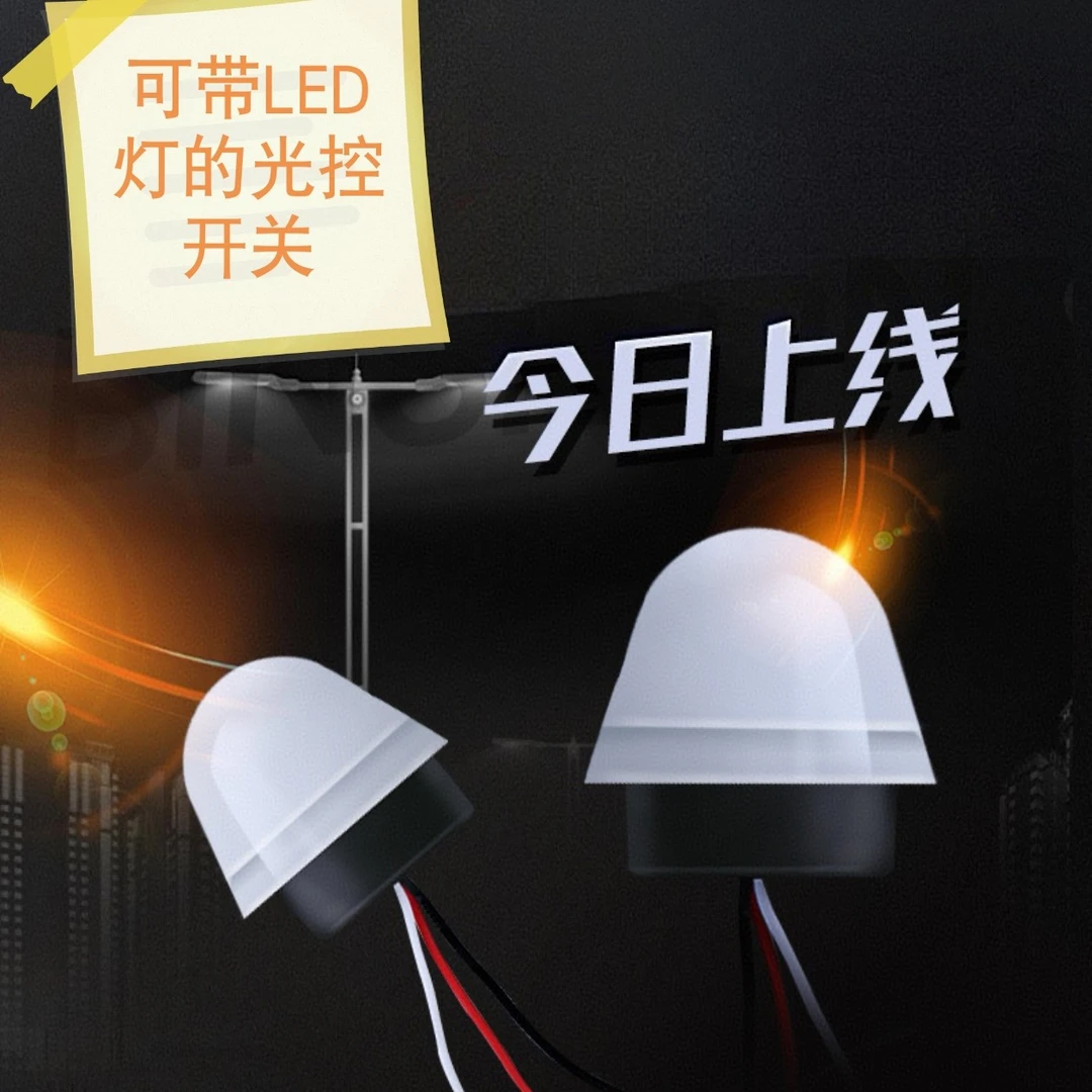 智能路灯光控控制器光控开关220V防雨AS-20自动晚上亮光感应开关