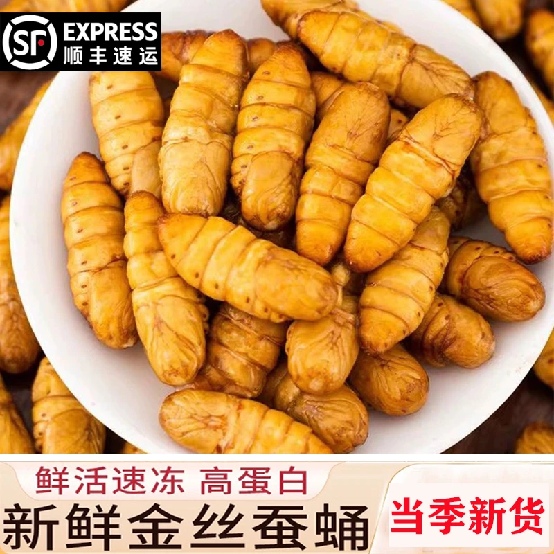 【顺丰包邮】新货金丝蚕蛹山东黄金蛹活体速冻当季新鲜茧蛹蚕茧子