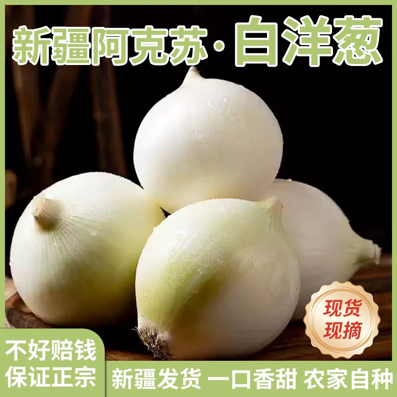 白玉水果洋葱自种生吃产品食用白皮牙子凉拌炒菜头农家新鲜蔬菜