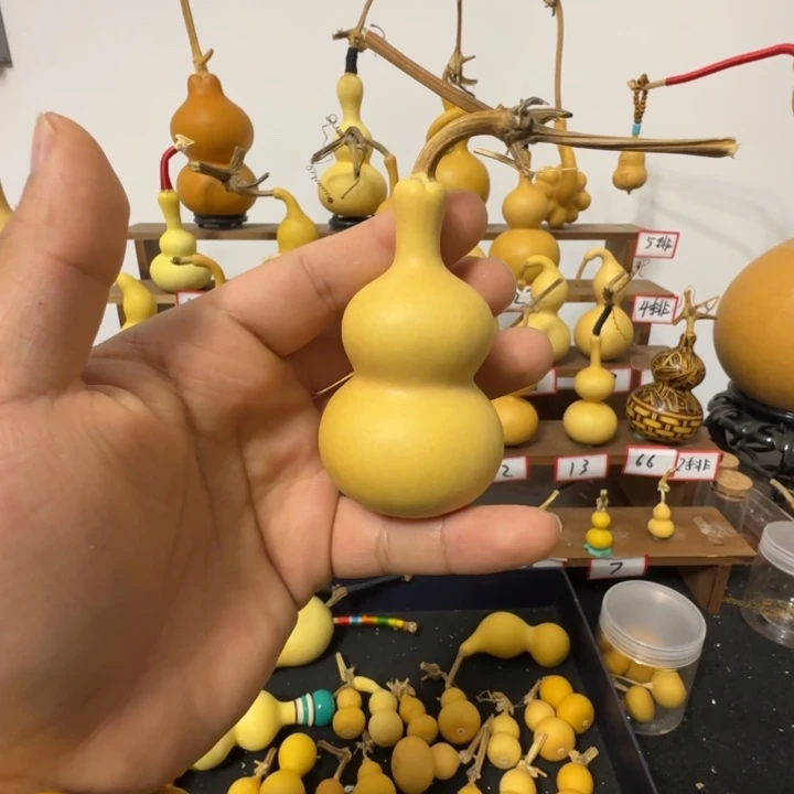 啥****葫芦葫芦葫芦葫芦138