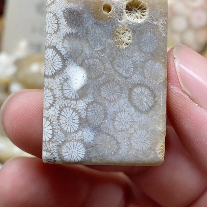 颈饰未镶嵌硅化珊瑚（珊瑚玉）有瑕 小