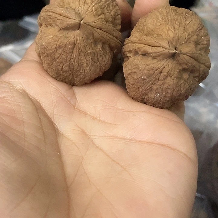 把件文玩核桃云南铁核桃基地73