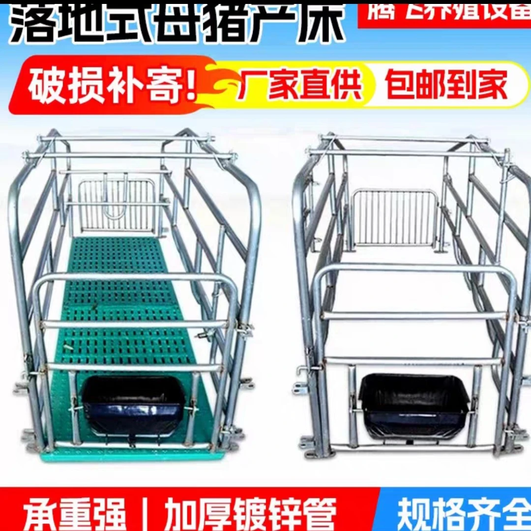 单体产床母猪产床落地式产保一体床单个母猪位产保