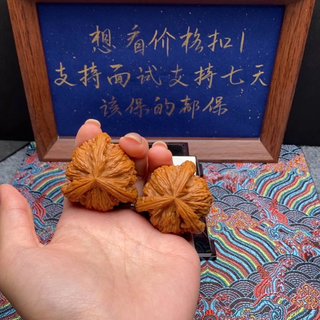 【闪购商品】m白狮