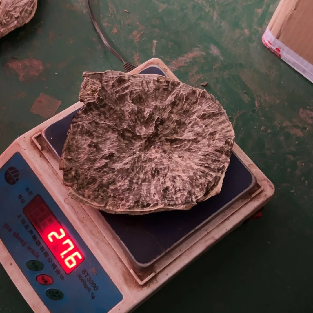 荷***汤海南版头27.6。