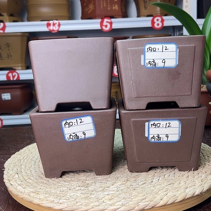 紫砂花盆蛇年大吉