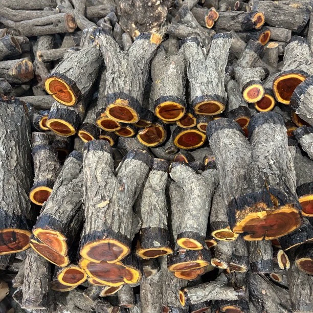 木之森精品火琉璃麻璃原木料