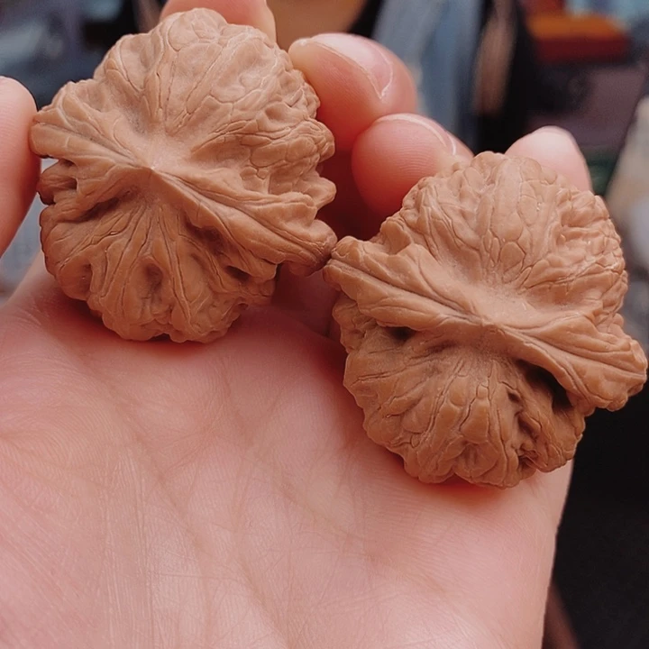 核桃38尺红锦鲤核桃