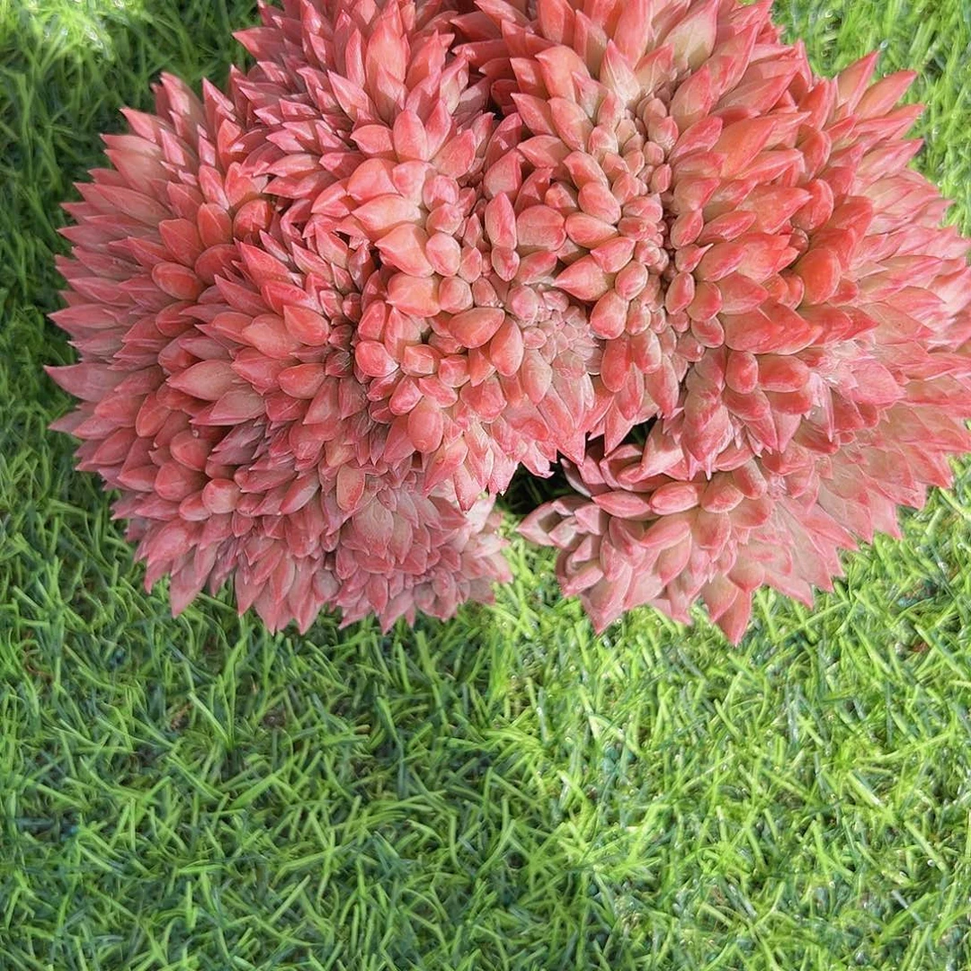 喵***惠兰缀1111111111111111