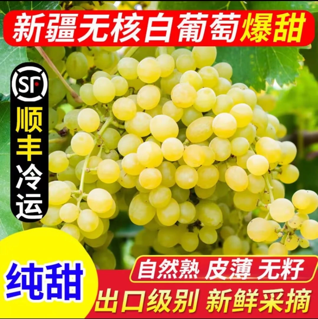 【顺丰航空包邮产地直销】吐鲁番无核白葡萄新鲜爆汁皮薄无籽纯甜