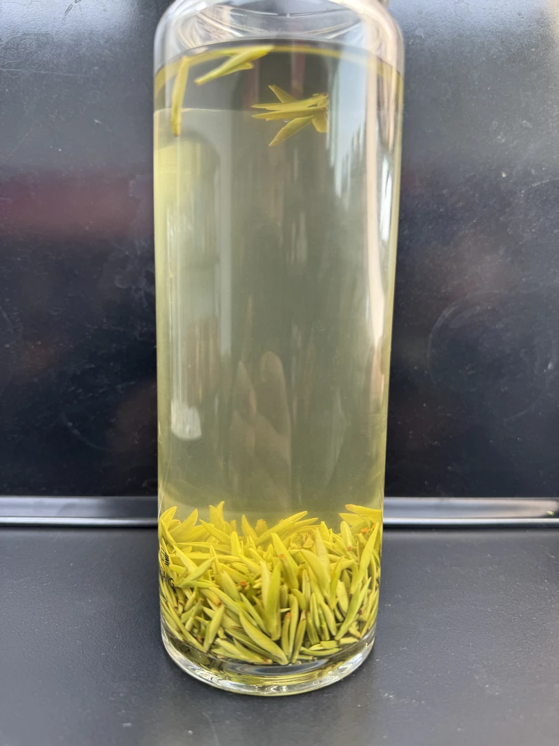 【临时链接】2024年   龙井白茶工艺  头采开园茶  清香豆香