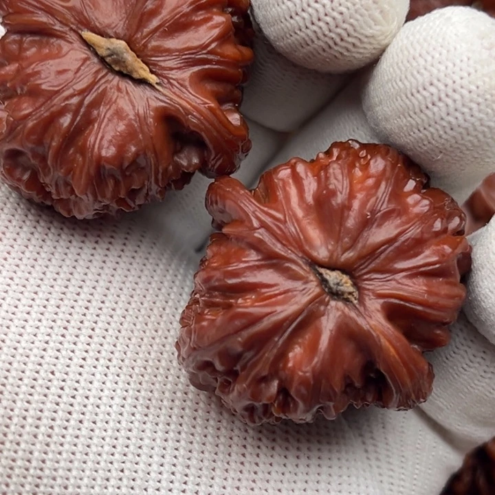 文玩核桃把件金*白狮子文玩核桃