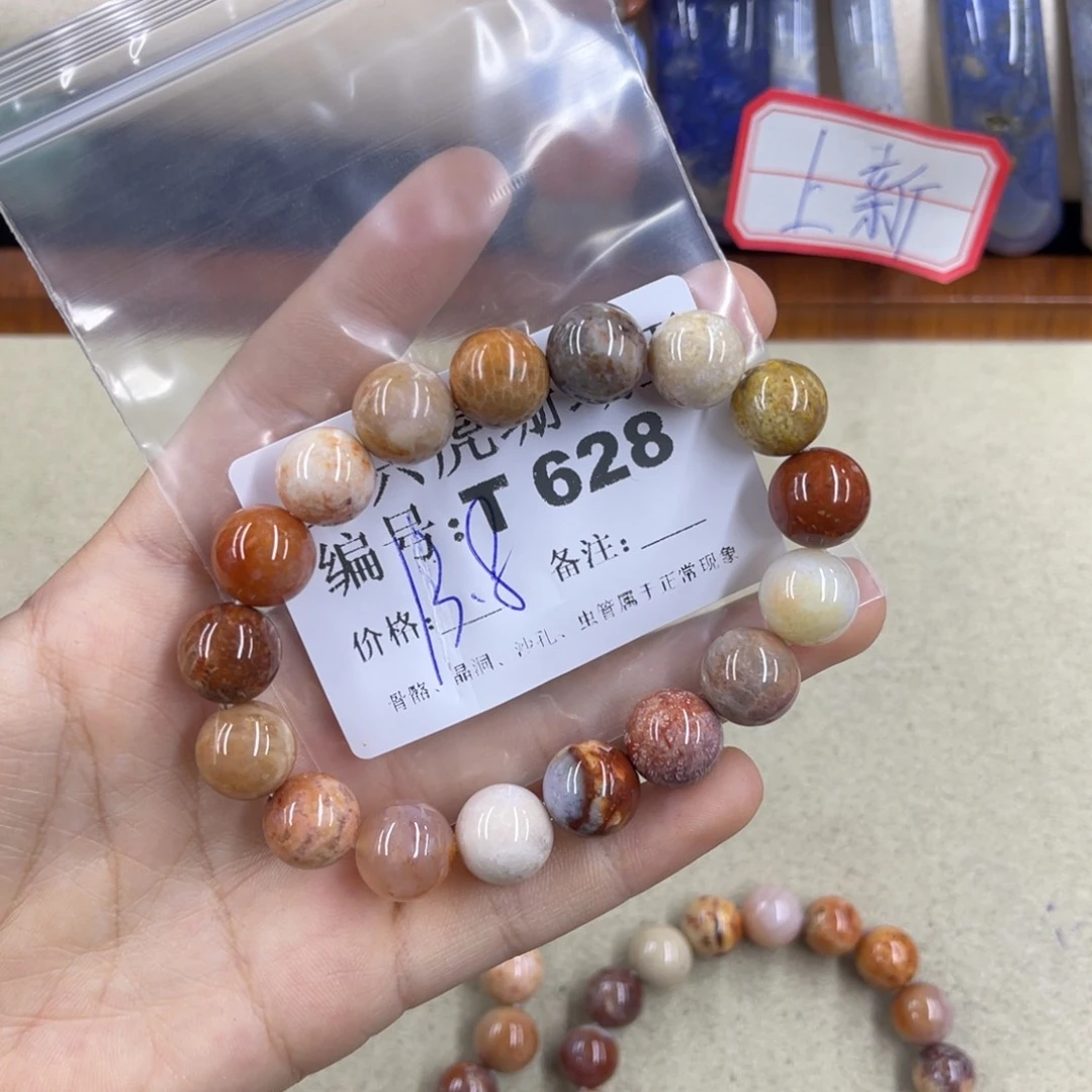 十***河硅化珊瑚（珊瑚玉）h未镶嵌