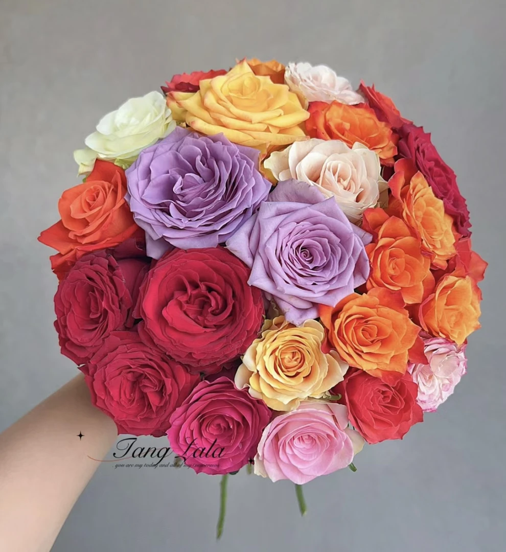 氧花季 彩拼玫瑰18支+2支防损 一单包邮 两单升级快递