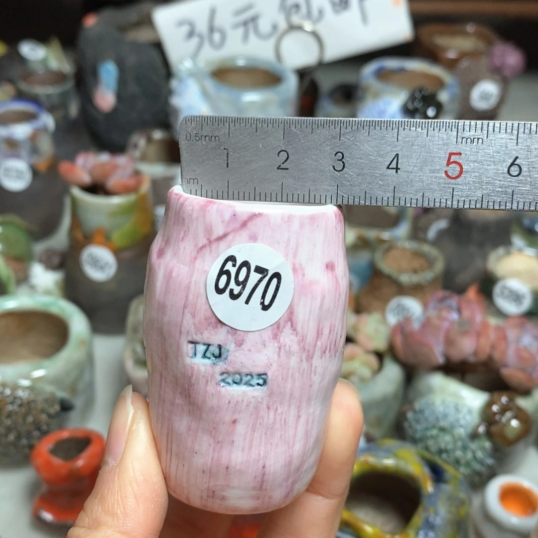 处理的，不退不换的