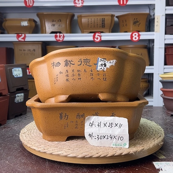 紫砂花盆蛇年大吉