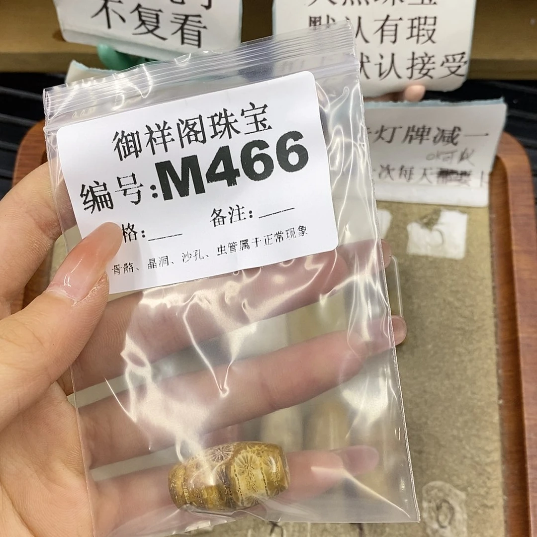 硅化珊瑚（珊瑚玉）未镶嵌颈饰窦*米