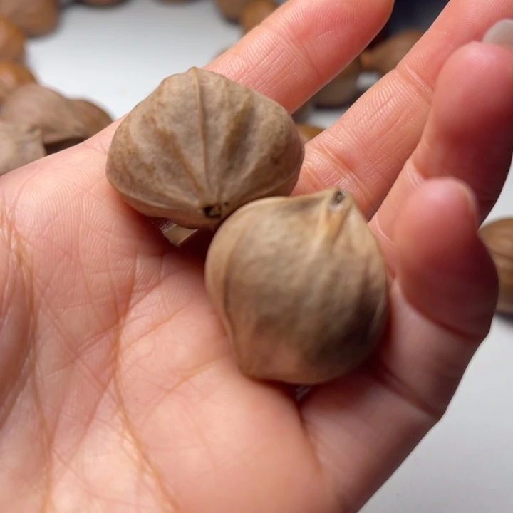 不***干手串/手链橄榄核2.9