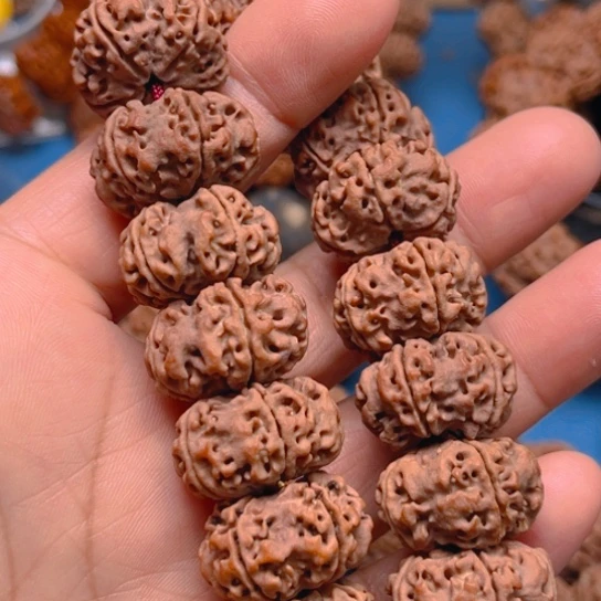 金刚菩提手串云*逸v005/22/5