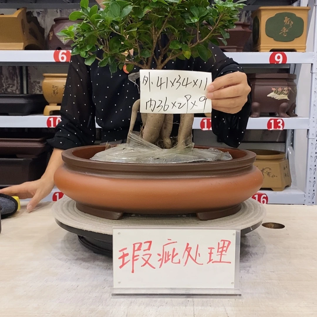 紫砂花盆紫砂花盆