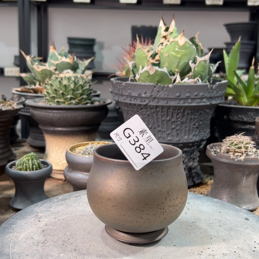 景德镇素里手工内口8高8.5