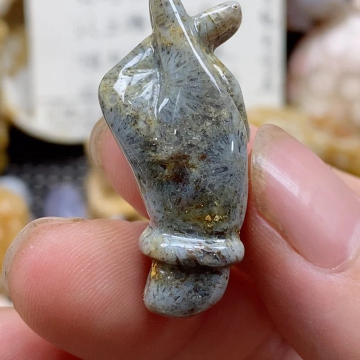 颈饰未镶嵌硅化珊瑚（珊瑚玉）小
