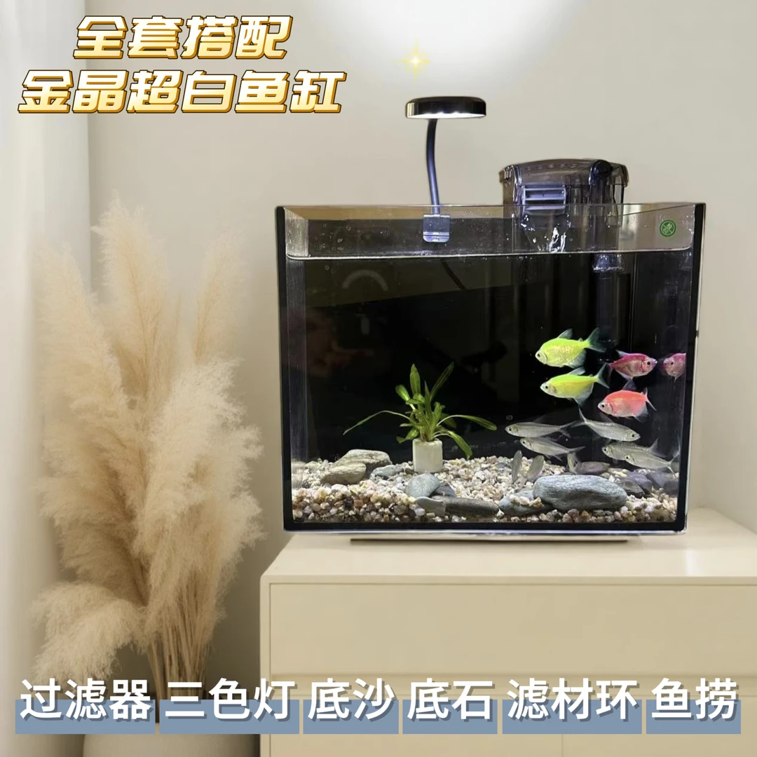 【金晶超白】25*16*18㎝(5mm加厚)家用桌面玻璃鱼缸适合客厅办公室