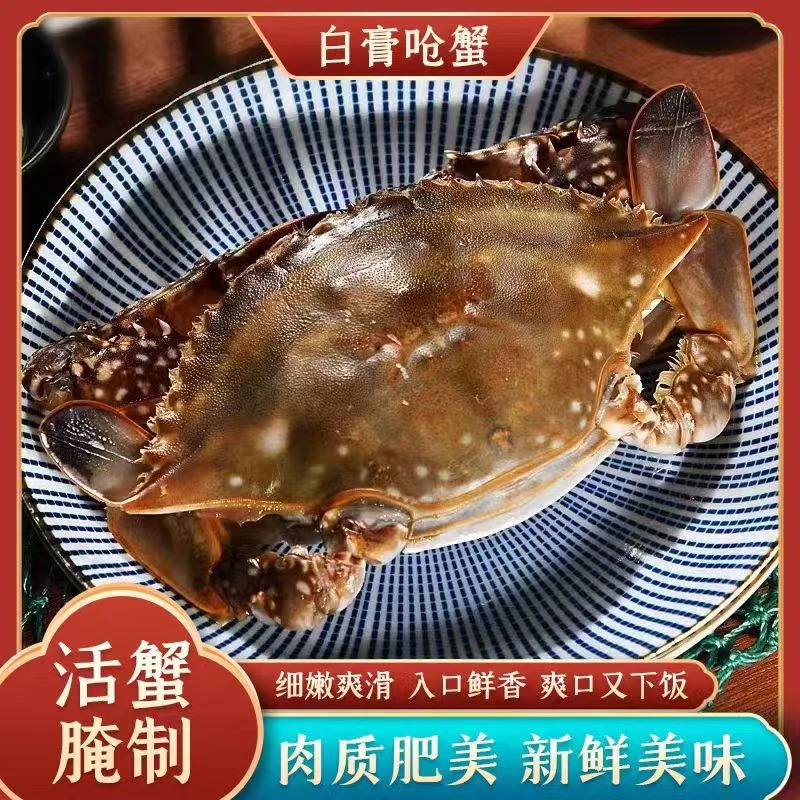 4-6两舟山咸呛蟹 梭子蟹 呛蟹 白膏蟹宁波生腌海鲜