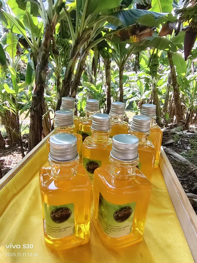 【菲妞】 -灵-芝-精-油 2瓶 120ml  现收山货